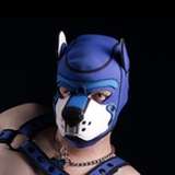 pupwilde from onlyfans