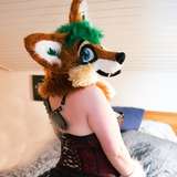 furry_foxxy from onlyfans